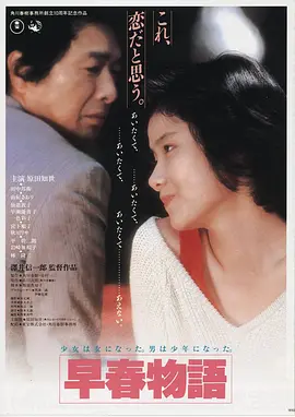 市场里的嫂子 影片封面