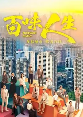 嫂子的第二份工 剧集封面